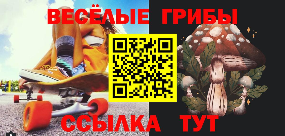 Галлюциногенные грибы MAGIC MUSHROOMS  Вход с VPN  Симферополь  Псилоцибиновые грибы Cubensis 